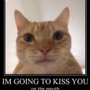 Meet your Posher, Bryce